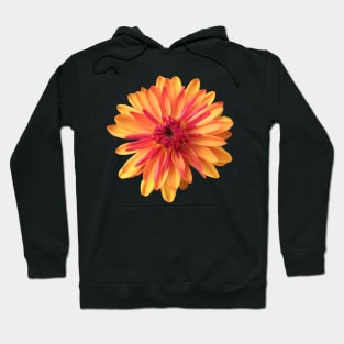 beautiful orange red flower, blossom, bloom Hoodie